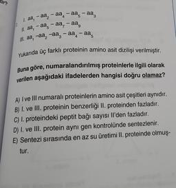 ir?
4
1.
1. aa, -aa₂-aa-aª-aa
1. aa-aa-aa-aa⁹
5
III. aª, -aª −àª¸ — aa-aa
3
4
-
-
5
-
Yukarıda üç farklı proteinin amino asit dizilişi verilmiştir.
Buna göre, numaralandırılmış proteinlerle ilgili olarak
verilen aşağıdaki ifadelerden hangisi doğru olamaz?
A) I ve III numaralı proteinlerin amino asit çeşitleri aynıdır.
B) I. ve III. proteinin benzerliği II. proteinden fazladır.
C) I. proteindeki peptit bağı sayısı Il'den fazladır.
D) I. ve III. protein aynı gen kontrolünde sentezlenir.
E) Sentezi sırasında en az su üretimi II. proteinde olmuş-
tur.