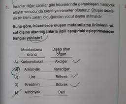 1. İnsanlar diğer canlılar gibi hücrelerinde gerçekleşen metabolik
olaylar sonucunda çeşitli yan ürünler oluşturur. Oluşan ürünle-
rin bir kısmı zararlı olduğundan vücut dışına atılmalıdır.
Buna göre, hücrelerde oluşan metabolizma ürünlerini vü-
cut dışına atan organlarla ilgili aşağıdaki eşleştirmelerden
hangisi yanlıştır?
Metabolizma
ürünü
A) Karbondioksit
B)
Amonyak
Üre
Kreatinin
Amonyak
D)
E
Dışarı atan
ofgan
Akciğer
Karaciğer
Böbrek
Böbrek
Deri