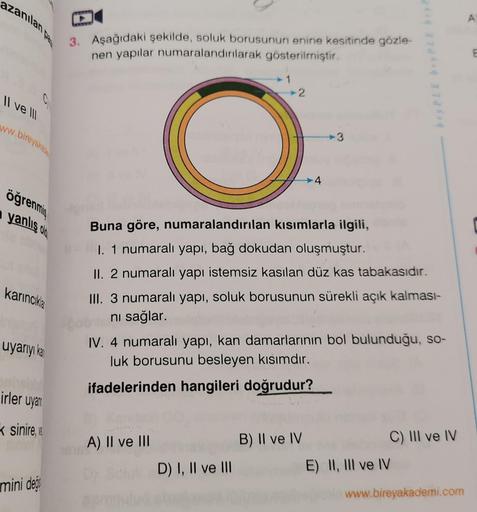 azanılan pa
C
II ve III
ww.bireyakan
öğrenmiş
yanlış ol
karıncıkla
uyarıyı ka
irler uyan
sinire,
mini değ
3. Aşağıdaki şekilde, soluk borusunun enine kesitinde gözle-
nen yapılar numaralandırılarak gösterilmiştir.
2
A) II ve III
Buna göre, numaralandırılan