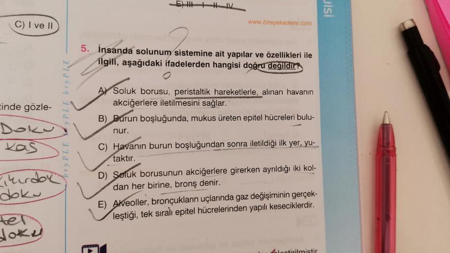 C) I ve II
inde gözle-
Doku
Kas
i kurdok
doku
ter
doku
yPLE bry PLE
ryPLE
H IV
www.bireyakademi.com
2
5. İnsanda solunum sistemine ait yapılar ve özellikleri ile
ilgili, aşağıdaki ifadelerden hangisi doğru değildir?
Soluk borusu, peristaltik hareketlerle, 