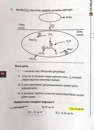 74
9. Kanda CO₂ taşınması aşağıda şematize edilmiştir.
Doku
SIVISI
HbCO,
HCO3
HCO3
CO₂
H₂CO
D) I, III ve IV
ifadelerinden hangileri doğrudur?
-A)Ivett
B) III ve IV
H*
Doku
H₂O
HbH+
Buna göre,
I. 1 numaralı olay difüzyonla gerçekleşir.
II. CO₂'nin 3 numaral