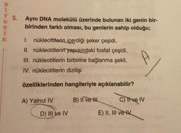 BIHOTIK
i
i
K
5.
Aynı DNA molekülü üzerinde bulunan iki genin bir-
birinden farklı olması, bu genlerin sahip olduğu;
1. nükleotitlerin içerdiği şeker çeşidi,
II. nükleotitlerin yapısındaki fosfat çeşidi,
III. nükleotitlerin birbirine bağlanma şekli,
IV. nükleotitlerin dizilişi
özelliklerinden hangileriyle açıklanabilir?
B) II ve H
A) Yalnız IV
D) III ve IV
C) Tive IV
E) II, III ve V