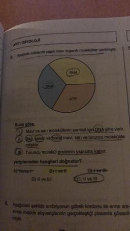 AYT/BİYOLOJİ
3. Aşağıda nükleotit yapılı bazı organik moleküller verilmiştir.
Buna göre,
DNA
RNA
ATP
Mavi ve sarı moleküllerin sentezi için DNA şifre verir.
11. Baz, şeker ve fosfat mavi, sarı ve turuncu molekülde
ortaktır.
Turuncu molekül proteinin yapısına katılır.
D) II ve III
yargılarından hangileri doğrudur?
A) Yalnız
B)+ve t
Give It
E) I, II ve III
4. Aşağıdaki şekilde embriyonun göbek kordonu ile anne ara-
sında madde alışverişlerinin gerçekleştiği plasenta gösteril-
miştir.