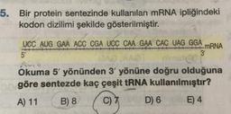 5.
Bir protein sentezinde kullanılan mRNA ipliğindeki
kodon dizilimi şekilde gösterilmiştir.
UCC AUG GAA ACC CGA UCC CAA GAA CAC UAG GGA
+++ +++
3'
mRNA
5'
C
AG
Okuma 5' yönünden 3' yönüne doğru olduğuna
o göre sentezde kaç çeşit tRNA kullanılmıştır?
A) 11
B) 8
C) 7
D) 6 E) 4