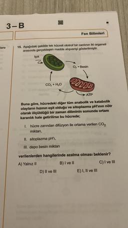 ilere
3-B
Işık
15. Aşağıdaki şekilde tek hücreli ototrof bir canlının iki organeli
arasında gerçekleşen madde alışverişi gösterilmiştir.
z
OFFO
CO, + H2O
Fen Bilimleri
O₂+ Besin
D) II ve III
mmm
ATP
Buna göre, hücredeki diğer tüm anabolik ve katabolik
olayların hızının eşit olduğu ve sitoplazma pH'ının nötr
olarak ölçüldüğü bir zaman diliminin sonunda ortam
karanlık hale getirilirse bu hücrede;
1. hücre zarından difüzyon ile ortama verilen CO₂
miktarı,
II. sitoplazma pH'ı,
III. depo besin miktarı
verilenlerden hangilerinde azalma olması beklenir?
A) Yalnız II
B) I ve II
C) I ve III
E) I, II ve III