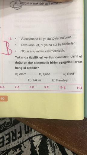 6.A
90
E) Yaygın olarak ürik asit atmaram
Vücutlarında kıl ya da tüyler bulunur.
Yavrularını et, ot ya da süt ile beslerler.
Olgun alyuvarları çekirdeksizdir.
Yukarıda özellikleri verilen canlıların dahil ol-
duğu en dar sistematik birim aşağıdakilerden
ha