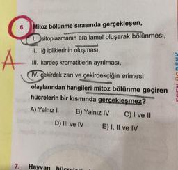 6. Mitoz bölünme sırasında gerçekleşen,
1. sitoplazmanın ara lamel oluşarak bölünmesi,
II. iğ ipliklerinin oluşması,
III. kardeş kromatitlerin ayrılması,
IV. çekirdek zarı ve çekirdekçiğin erimesi
olaylarından hangileri mitoz bölünme geçiren
hücrelerin bir kısmında gerçekleşmez?
A) Yalnız I
B) Yalnız IV
Å
7.
D) III ve IV
Hayvan hücrele
C) I ve II
E) I, II ve IV
ANDEREGL