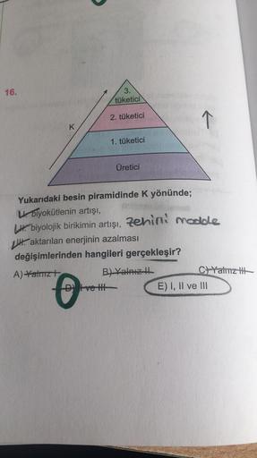 16.
K
A) Yatmızt
3.
tüketici
2. tüketici
O
-D ve t
1. tüketici
Üretici
Yukarıdaki besin piramidinde K yönünde;
Ubiyokütlenin artışı,
L. biyolojik birikimin artışı, Zehin madde
Haktarılan enerjinin azalması
değişimlerinden hangileri gerçekleşir?
B) Yalnız
↑