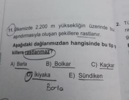 11. Ulkemizde 2.200 m yüksekliğin üzerinde buz
aşındırmasıyla oluşan şekillere rastlanır.
Aşağıdaki dağlarımızdan hangisinde bu tip ş
killere rastlanmaz?
A) Barla
B) Bolkar
0 İkiyaka
Borla
C) Kaçkar
2. TO
ra
g
E) Sündiken