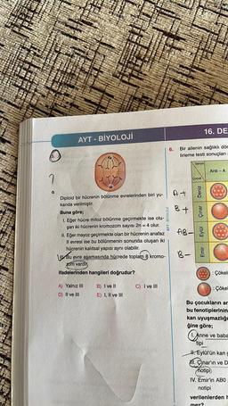 a
AYT - BİYOLOJİ
Diploid bir hücrenin bölünme evrelerinden biri yu-
karıda verilmiştir.
Buna göre;
1. Eğer hücre mitoz bölünme geçirmekte ise olu-
şan iki hücrenin kromozom sayısı 2n = 4 olur.
II. Eğer mayoz geçirmekte olan bir hücrenin anafaz
Il evresi ise bu bölünmenin sonunda oluşan iki
hücrenin kalıtsal yapısı aynı olabilir.
Bu
evre aşamasında hücrede toplam 8 kromo-
zom vardin
ifadelerinden hangileri doğrudur?
A) Yalnız III
D) II ve III
B) I ve II
E) I, II ve III
C) I ve III
AYT - BİYOLOJİ
6.
Bir ailenin sağlıklı dör
lirleme testi sonuçları
At
B +
AB-
B-
Serum
Çocuk
Eylül
16. DE
Emir
Anne
tipi
Anti-A
: Çökeln
Bu çocukların ar
bu fenotiplerinin
kan uyuşmazlığı
ğine göre;
: Çökel
mez?
Anne ve baba
H.Eylül'ün kan g
11. Onar'ın ve D
notipi
IV. Emir'in ABO
notipi
verilenlerden h