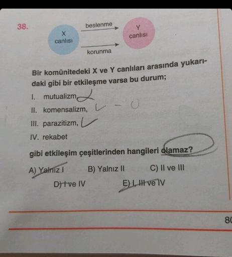 38.
X
canlısı
beslenme
korunma
Y
canlısı
Bir komünitedeki X ve Y canlıları arasında yukarı-
daki gibi bir etkileşme varsa bu durum;
D)tve IV
1. mutualizm
II. komensalizm, -0
III. parazitizm,
IV. rekabet
gibi etkileşim çeşitlerinden hangileri olamaz?
A) Yal