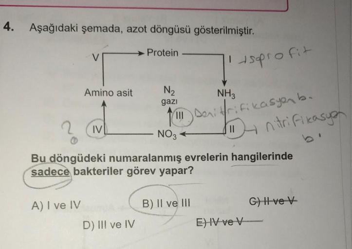 4. Aşağıdaki şemada, azot döngüsü gösterilmiştir.
Amino asit
A) I ve IV
IV
→Protein
D) III ve IV
N₂
gazi
NH3
!!! Denitrifikasyon b.
NO 3
+soprofit
Bu döngüdeki numaralanmış evrelerin hangilerinde
sadece bakteriler görev yapar?
B) II ve III
111 nitrifikasyo