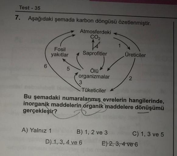 Test - 35
7. Aşağıdaki şemada karbon döngüsü özetlenmiştir.
6
Fosil
yakıtlar
5
A) Yalnız 1
Atmosferdeki
CO₂
Ölü
organizmalar
3
Saprofitler
Tüketiciler
Bu şemadaki numaralanmış evrelerin hangilerinde,
inorganik maddelerin organik maddelere dönüşümü
gerçekle