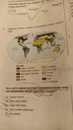 2.
ne özgü özellikleri bulunan Buy
Yukarıdaki parçada boş bırakılan yere aşa
hangisi yazılmalıdır?
A) biyom
D) ekosistem
PASIFIK
OKYANUSU
B)-biyosfer
Biyomlar
Aşağıdaki haritada biyomların yeryüzündeki dağılışı gösteril-
miştir.
ATLAS
OKYANUSU
Yağmur ormanları
Yaprak döken ormanlar
Iğne yapraklı ormanlar
Çalı
Savan
5) niş
A) Coğrafi konum
B) Yıllık yağış miktarı
6) Doğal bitki örtüsü
D) Yıllık sıcaklık ortalaması
E) Yer şekilleri
habitat
HINT
OKYANUSU
Çöl bitkileri
lliman çayır
Tundra
PASIFIK
OKYANUSU
Kutup
Dağ
Su Biyomları
A)
B)
5.
Buna göre, karasal biyomların isimlendirilmesinde aşağı-
daki özelliklerden hangisi daha etkili olmuştur?
TOPI