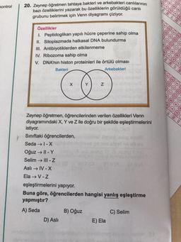 kontrol
20. Zeynep öğretmen tahtaya bakteri ve arkebakteri canlılarının
bazı özelliklerini yazarak bu özelliklerin görüldüğü canlı
grubunu belirtmek için Venn diyagramı çiziyor.
Özellikler
1. Peptidoglikan yapılı hücre çeperine sahip olma
II. Sitoplazmada halkasal DNA bulundurma
III. Antibiyotiklerden etkilenmeme
IV. Ribozoma sahip olma
V. DNA'nın histon proteinleri ile örtülü olması
Bakteri
X
D) Aslı
Y
Z
Zeynep öğretmen, öğrencilerinden verilen özellikleri Venn
diyagramındaki X, Y ve Z ile doğru bir şekilde eşleştirmelerini
istiyor.
Sınıftaki öğrencilerden,
Seda → 1-X
Oğuz → II - Y
Selim → III-Z
Aslı → IV-X
Ela → V-Z
B) Oğuz
Arkebakteri
eşleştirmelerini yapıyor.
Buna göre, öğrencilerden hangisi yanlış eşleştirme
yapmıştır?
A) Seda
850 8
E) Ela
C) Selim
N
A
BO
A
V
LL
1) (0)
B
E
B
W
C
D
B
LU
Q
C
C