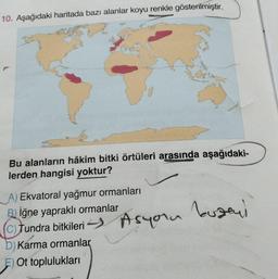 10. Aşağıdaki haritada bazı alanlar koyu renkle gösterilmiştir.
Bu alanların hâkim bitki örtüleri arasında aşağıdaki-
lerden hangisi yoktur?
A) Ekvatoral yağmur ormanları
B) iğne yapraklı ormanlar
Tundra bitkileri
b) Karma ormanlar
E) Ot toplulukları
Asyonu
Asyonu buzeyl