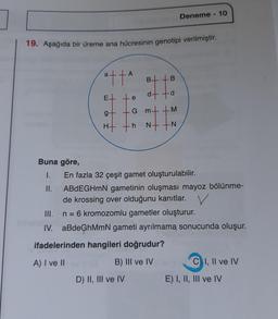 19. Aşağıda bir üreme ana hücresinin genotipi verilmiştir.
Buna göre,
I.
II.
A
atta
E e
BB
to
at ta
M
N
G m
H+ +h N-
Deneme - 10
En fazla 32 çeşit gamet oluşturulabilir.
ABDEGHmN gametinin oluşması mayoz bölünme-
de krossing over olduğunu kanıtlar. V
n = 6 kromozomlu gametler oluşturur.
III.
IV. aBdeGhMmN gameti ayrılmama sonucunda oluşur.
ifadelerinden hangileri doğrudur?
A) I ve II
B) III ve IV
D) II, III ve IV
C) I, II ve IV
E) I, II, III ve IV