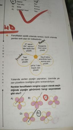 mi
L
EMMA
Y
A
Y
1
N
L
A
R
1
4.
B)
D)
E)
Gazoz
Tuz ruhu
Sirke
Çamaşır suyu
Fenolftalein asidik ortamda renksiz, bazik ortamda
pembe renk alan bir indikatördür.
Tadi
acı olan
çözelti
Pembe
Sax
Sarı
Ht sayısı
OH sayısın-
dan fazla olan
çözelti
Kırmızı
Kırmızı
Sarı
D)
B)
Pembe
Kayganlık
hissi veren
çözelti
Na₂O katısı
eklenerek hazır-
lanmış sulu
çözelti
Yukarıda verilen çiçeğin yaprakları, üzerinde ya-
zan çözeltinin özelliğine göre renklendiriliyor.
pH'si 7 den
küçük olan
çözelti
Renkler fenolftalein rengine uygun olarak seçil-
diğinde çiçeğin görünümü hangi seçenekteki
gibi olur?
A)