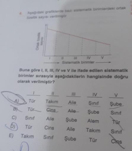 4 Apağıdaki grafiklerde bazı sistematik birimlerdeki ortak
özellik sayısı verilmiştir
A)
1
Tür
Tür
Ortak özellik
B
C)
Sınıf
6) Tür
E) Takım
sules
Buna göre I, II, III, IV ve V ile ifade edilen sistematik
birimler sırasıyla aşağıdakilerin hangisinde doğru
o