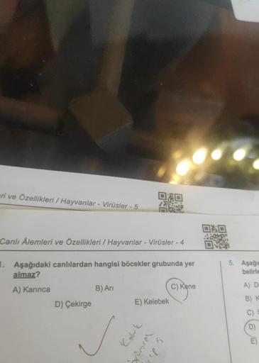 eri ve Özellikleri / Hayvanlar - Virüsler - 5
Canlı Âlemleri ve Özellikleri / Hayvanlar - Virüsler - 4
1. Aşağıdaki canlılardan hangisi böcekler grubunda yer
almaz?
A) Karınca
D) Çekirge
B) Ari
✓
ORO
E) Kelebek
7-967
brüncel
Crep 5.
C) Kene
0%
5. Aşağıa
be