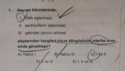 Hayvan hücrelerinde;
DONA eglenmesi,
II. sentriyollerin eşlenmesi,
III. çekirdek zarının erimesi
olaylarından hangileri hücre döngüsünün interfaz evre-
sinde gerçekleşir?
A) Yalnız I
D) ve III
By Yalnız III
Cyl ye ll
E) I, II ve II