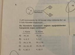 9.
XX
A)
B)
C)
D)
E)
ZZ
yy
Replikasyon
xx, yy
X, Y, Z
xx, y, zz
xx, yy, zz
x, yy, z
3 çift kromozomlu bir M hücresi mitoz bölünme ile I ve
Il nolu hücreleri oluşturuyor.
Bu hücrelerin kromozom dağılımı aşağıdakilerden
hangisinde doğru verilmiştir?
1. hücre
II. hücre
1
xx, yy
x, y, z
xx, y, zz
xx, yy, zz
x, yy, z
|||
13.
14