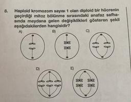 8.
Haploid kromozom sayısı 1 olan diploid bir hücrenin
geçirdiği mitoz bölünme sırasındaki anafaz safha-
sında meydana gelen değişiklikleri gösteren şekil
aşağıdakilerden hangisidir?
B)
A)
.fg.
D)
8 8
-- |--
E)
fd.
--XX
fd