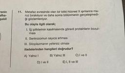 renin
afha-
şekil
11. Metafaz evresinde olan bir bitki hücresi X ışınlarına ma-
ruz bırakılıyor ve daha sonra bölünmenin gerçeleşmedi-
ği gözlemleniyor.
Bu olayla ilgili olarak;
I. Iğ ipliklerinin kasılmasında görevli proteinlerin bozul-
ması
II. Sentrozomun sayıca artması
III. Sitoplazmanın yetersiz olması
ifadelerinden hangileri doğrudur?
A) Yalnız !
B) Yalnız III
D) I ve II
C) I ve II
E) I, II ve III