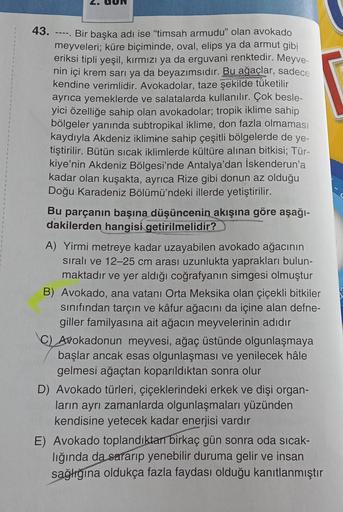 43. -----
Bir başka adı ise "timsah armudu" olan avokado
meyveleri; küre biçiminde, oval, elips ya da armut gibi
eriksi tipli yeşil, kırmızı ya da erguvani renktedir. Meyve-
nin içi krem sarı ya da beyazımsıdır. Bu ağaçlar, sadece
kendine verimlidir. Avoka