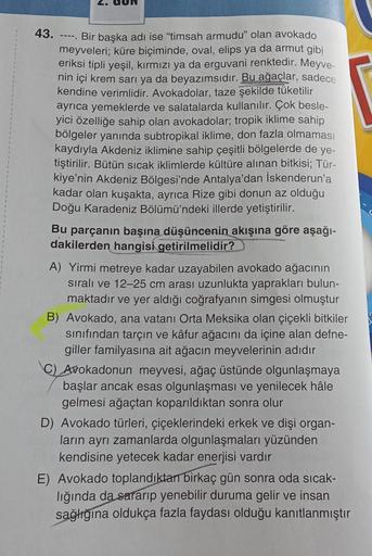 43. -----
Bir başka adı ise "timsah armudu" olan avokado
meyveleri; küre biçiminde, oval, elips ya da armut gibi
eriksi tipli yeşil, kırmızı ya da erguvani renktedir. Meyve-
nin içi krem sarı ya da beyazımsıdır. Bu ağaçlar, sadece
kendine verimlidir. Avoka