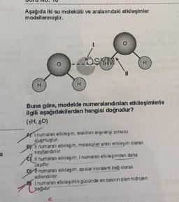 Aşağıda iki su molekülü ve aralarındaki etkileşimler
modellenmiştir.
H
H
A
SYM
H
Buna göre, modelde numaralandırılan etkileşimlerle
ilgili aşağıdakilerden hangisi doğrudur?
(1H, 80)
A) I numaralı etkileşim, elektron alışverişi sonucu
oluşmuştur.
B) Il numaralı etkileşim, moleküller arası etkileşim olarak
sınıflandırılır.
Il numaralı etkileşim, I numaralı etkileşimden daha
zayıftır.
D) ff numaralı etkileşim, apolar kovalent bağ olarak
adlandırılır.
I numaralı etkileşimin gücünde en baskin olan hidrojen
bağıdır.