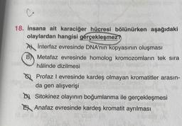 C
18. İnsana ait karaciğer hücresi bölünürken aşağıdaki
olaylardan hangisi gerçekleşmez?
A interfaz evresinde DNA'nın kopyasının oluşması
B) Metafaz evresinde homolog kromozomların tek sıra
hâlinde dizilmesi
Profaz I evresinde kardeş olmayan kromatitler arasın-
da gen alışverişi
Sitokinez olayının boğumlanma ile gerçekleşmesi
E Anafaz evresinde kardeş kromatit ayrılması