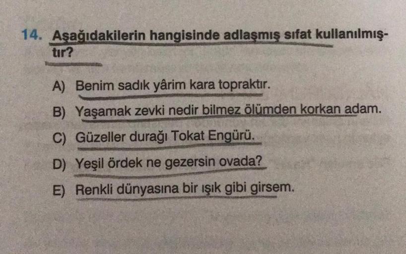 14. Aşağıdakilerin hangisinde adlaşmış sifat kullanılmış-
tır?
A) Benim sadık yârim kara topraktır.
B) Yaşamak zevki nedir bilmez ölümden korkan adam.
C) Güzeller durağı Tokat Engürü.
D) Yeşil ördek ne gezersin ovada?
E) Renkli dünyasına bir ışık gibi girs