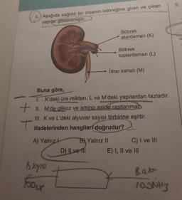 -
6. Aşağıda sağlıklı bir insanın böbreğine giren ve çıkan
yapılar gösterilmiştir.
T
Buna göre,
T. K'deki üre miktarı, L ve M'deki yapılardan fazladır.
+ II. M'de glikoz ve amino aside rastlanmaz
III. K ve L'deki alyuvar sayısı birbirine eşittir.
ifadelerinden hangileri doğrudur?
A) Yalnızl
Bbpo
Yoour
B) Yalnız II
Böbrek
atardamarı (K)
D) Il ve til
Böbrek
toplardamarı (L)
İdrar kanalı (M)
C) I ve III
E) I, II ve III
Bab
TOONH3