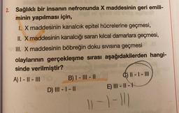 2. Sağlıklı bir insanın nefronunda X maddesinin geri emili-
minin yapılması için,
I. X maddesinin kanalcık epitel hücrelerine geçmesi,
II. X maddesinin kanalcığı saran kılcal damarlara geçmesi,
III. X maddesinin böbreğin doku sıvısına geçmesi
olaylarının gerçekleşme sırası aşağıdakilerden hangi-
sinde verilmiştir?
A) I-II-III
B) I-III-II
D) III - I - II
G) 11-1-III
E) III-II-1
11-1-11)