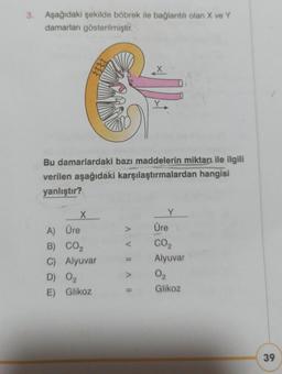 3. Aşağıdaki şekilde böbrek ile bağlantılı olan X ve Y
damarları gösterilmiştir.
X
Bu damarlardaki bazı maddelerin miktarı ile ilgili
verilen aşağıdaki karşılaştırmalardan hangisi
yanlıştır?
A) Üre
B) CO₂
FIFF
C) Alyuvar
D) 02
E) Glikoz
X
AVIA II
Y
Üre
CO₂
Alyuvar
0₂
Glikoz
39