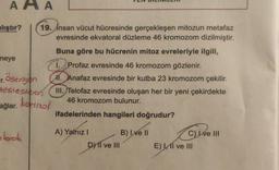 AAA
alıştır?
meye
19. Insan vücut hücresinde gerçekleşen mitozun metafaz
evresinde ekvatoral düzleme 46 kromozom dizilmiştir.
Buna göre bu hücrenin mitoz evreleriyle ilgili,
1. Profaz evresinde 46 kromozom gözlenir.
11. Anafaz evresinde bir kutba 23 kromozom çekilir.
III. Telofaz evresinde oluşan her bir yeni çekirdekte
46 kromozom bulunur.
ifadelerinden hangileri doğrudur?
r. ostrojen
testesteron
ağlar. kortizol
look
A) Yalnız I
DY II ve III
B) I ve II
C) Ive III
E) II ve III