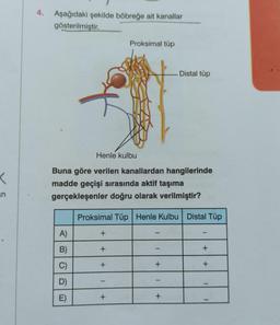 K
n
Aşağıdaki şekilde böbreğe ait kanallar
gösterilmiştir.
A)
B)
C)
D)
E)
Henle kulbu
Buna göre verilen kanallardan hangilerinde
madde geçişi sırasında aktif taşıma
gerçekleşenler doğru olarak verilmiştir?
+
Proksimal Tüp Henle Kulbu Distal Tüp
+
+
Proksimal tüp
-
+
Distal tüp
+
+
+
+
||
I