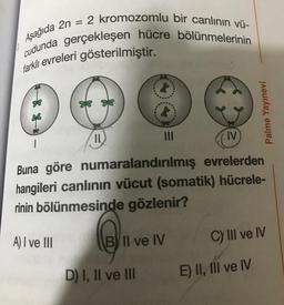 Aşağıda 2n = 2 kromozomlu bir canlının vü-
cudunda gerçekleşen hücre bölünmelerinin
farklı evreleri gösterilmiştir.
IlL
II
IV
Buna göre numaralandırılmış evrelerden
hangileri canlının vücut (somatik) hücrele-
rinin bölünmesinde gözlenir?
A) I ve II
BIl ve IV
Cy II ve IV
D) I, II ve lII
E) II, IIII ve IV
Palme Yayınevi