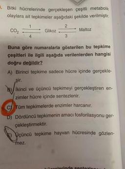 Bitki hücrelerinde gerçekleşen çeşitli metabolik
olaylara ait tepkimeler aşağıdaki şekilde verilmiştir.
cox
"
Glikoz. 2. Maltoz
Buna göre numaralarla gösterilen bu tepkime
çeşitleri ile ilgili aşağıda verilenlerden hangisi
doğru değildir?
A) Birinci tepkime sadece hücre içinde gerçekle-
şir.
B) İkinci ve üçüncü tepkimeyi gerçekleştiren en-
zimler hücre içinde sentezlenir.
C) Tüm tepkimelerde enzimler harcanır.
D) Dördüncü tepkimenin amacı fosforilasyonu ger-
çekleştirmektir.
E) çüncü tepkime hayvan hücresinde gözlen-
mez.
terlerinde sontel