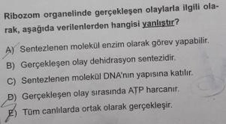 Ribozom organelinde gerçekleşen olaylarla ilgili ola-
rak, aşağıda verilenlerden hangisi yanlistir?
A) Sentezlenen molekül enzim olarak görev yapabilir.
B) Gerçekleşen olay dehidrasyon sentezidir.
C) Sentezlenen molekül DNA'nin yapısına katılır.
D) Gerçekl