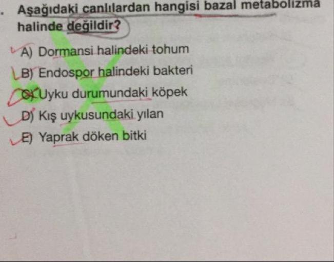 • Aşağıdaki canlılardan hangisi bazal metabolizma
halinde değildir?
A) Dormansi halindeki tohum
B) Endospor halindeki bakteri
OXUyku durumundaki köpek
D) Kış uykusundaki yılan
E) Yaprak döken bitki