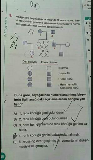 Da
olm
b) Boy
SUZ
co
Prf Yayınları
Aşağıdaki soyağacında insanda X kromozomu üze-
rinde çekinik genlerle taşınan renk Körlüğü ve hemo-
fili hastalıklannin kalıtımı gösterilmiştir.
xay to
Dişi bireyler
Erkek bireyler
O Normal
O : Hernofili
• Renk körü
: Hem