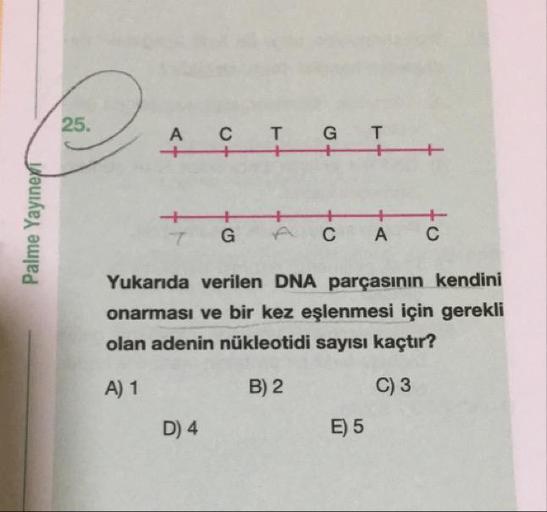 А
с
т
а
т
Palme Yayinen
į
I
Ć
I Ć
Yukarıda verilen DNA parçasının kendini
onarması ve bir kez eşlenmesi için gerekli
olan adenin nükleotidi sayısı kaçtır?
A) 1
B) 2
C) 3
D) 4
E) 5