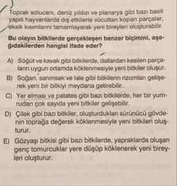 Toprak solucanı, deniz yıldızı ve planarya gibi bazı basit
yapılı hayvanlarda dış etkilerle vücuttan kopan parçalar,
eksik kısımlarını tamamlayarak yeni bireyleri oluşturabilir.
Bu olayın bitkilerde gerçekleşen benzer biçimini, aşa-
ğıdakilerden hangisi ifade eder?
A) Söğüt ve kavak gibi bitkilerde, dallardan kesilen parça-
ların uygun ortamda köklenmesiyle yeni bitkiler oluşur.
B) Soğan, sarımsak ve lale gibi bitkilerin rizomları gelişe-
rek yeni bir bitkiyi meydana getirebilir.
C) Yer elması ve patates gibi bazı bitkilerde, her bir yum-
rudan çok sayıda yeni bitkiler gelişebilir.
D) Çilek gibi bazı bitkiler, oluşturdukları sürünücü gövde-
nin toprağa değerek köklenmesiyle yeni bitkileri oluş-
turur.
E) Gözyaşı bitkisi gibi bazı bitkilerde, yapraklarda oluşan
genç tomurcuklar yere düşüp köklenerek yeni birey-
leri oluşturur.