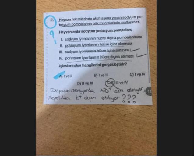 2. Hayvan hücralerinde aktif taşıma yapan sodyum po-
tasyum pompalanna bilii.hücrelacinde.rastlanmaz.
Hayvanlarda sodyum potasyum pompalar;
L. sodyum iyonlannın hücre dişına pompalanması
IL potasyum iyonlarının hücre içine alınması
II. sodyum iyonlannın hü