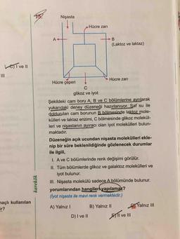Nişasta
Hücre zari
- В
(Laktoz ve laktaz)
LETvell
Hücre zari
Hücre çeperi
C
glikoz ve iyot
Şekildeki cam boru A, B ve C bölümlerine ayrılarak
yukarıdaki deney düzeneği hazırlanıyor. Saf su ile
doldurulan cam borunun B bölmesinde laktoz mole-
külleri ve laktaz enzimi, C bölmesinde glikoz molekül-
leri ve nişastanın ayıracı olan iyot molekülleri bulun-
maktadır.
Düzeneğin açık ucundan nişasta molekülleri ekle-
nip bir süre beklenildiğinde gözlenecek durumlar
ile ilgili,
1. A ve C bölümlerinde renk değişimi görülür.
II. Tüm bölümlerde glikoz ve galaktoz molekülleri ve
iyot bulunur.
III. Nişasta molekülü sadece A bölümünde bulunur.
yorumlarından hangiler yapılamaz?
(lyot nişasta ile mavi renk vermektedir.)
karekök
açlı kullanılan
Yalnız III
A) Yalnız! B) Yalnız II
D) I ve II Bll ve III