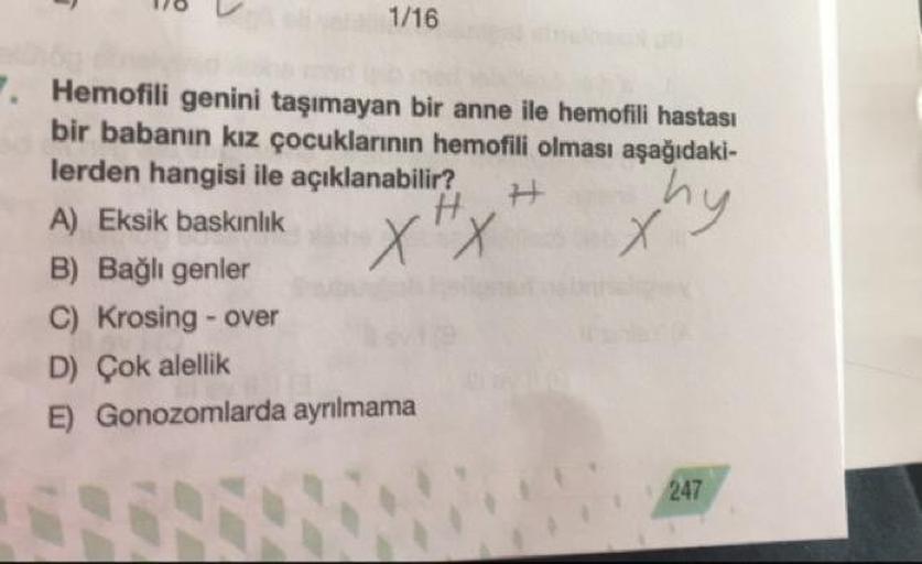 ell 1/16
Hemofili genini taşımayan bir anne ile hemofili hastası
bir babanın kız çocuklarının hemofili olması aşağıdaki-
lerden hangisi ile açıklanabilir?
hy
A) Eksik baskınlık
X.X.
B) Bağlı genler
C) Krosing - over
D) Çok alellik
E) Gonozomlarda ayrılmama