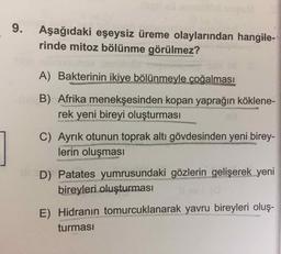 9.
Aşağıdaki eşeysiz üreme olaylarından hangile-
rinde mitoz bölünme görülmez?
A) Bakterinin ikiye bölünmeyle çoğalması
B) Afrika menekşesinden kopan yaprağın köklene-
rek yeni bireyi oluşturması
C) Ayrık otunun toprak altı gövdesinden yeni birey-
lerin oluşması
D) Patates yumrusundaki gözlerin gelişerek yeni
bireyleri oluşturması
E) Hidranın tomurcuklanarak yavru bireyleri oluş-
turması