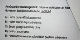 Aşağıdakilerden hangisi bitki hücrelerinde bulunan hüch
duvarının özelliklerinden birisi değildir?
A) Hücre dayanıklılık kazandırma
B) Hücre zarının dışında bulunma
C) Seçici geçirgen özellikte olma
D) Selüloz yapılı cima
E) Plazmodesma olarak adlandırılan geçitlere sahip olma
